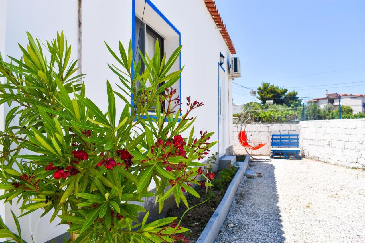 Troi House * Vlore